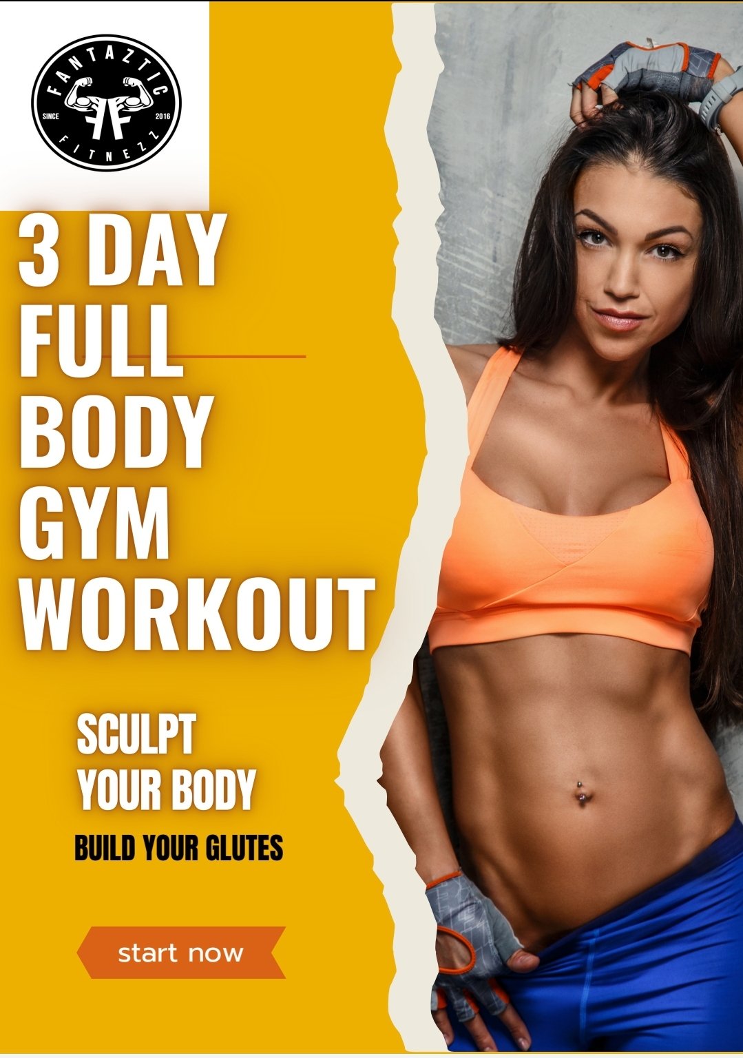 3 day gym program  vol 2 