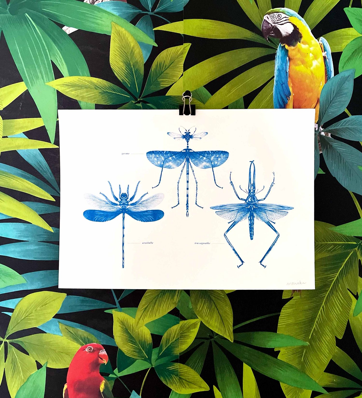 Planche d'insectes n°3 — Marieke 