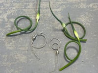 Image 2 of Garlic Scape Hoops
