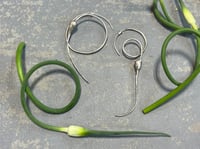 Image 3 of Garlic Scape Hoops