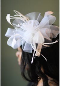 Image 2 of THE JENEATHEL COLLECTION - SMALL