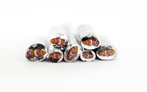 Image of 10 grams Clown Fish Murrine