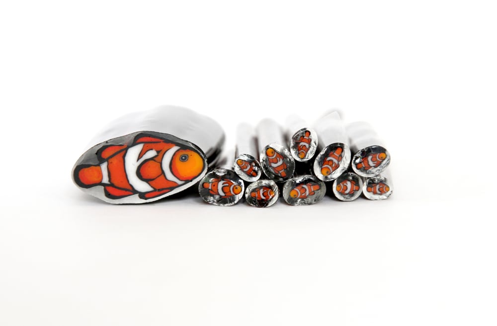 Image of 10 grams Clown Fish Murrine