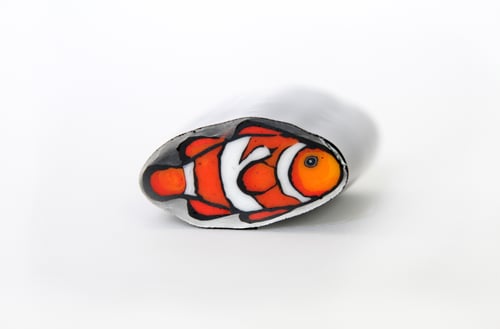 Image of 10 grams Clown Fish Murrine