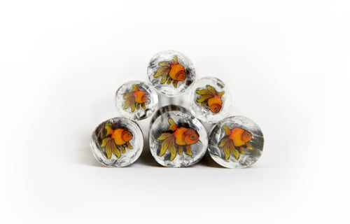 Image of 10 grams Goldfish Murrine