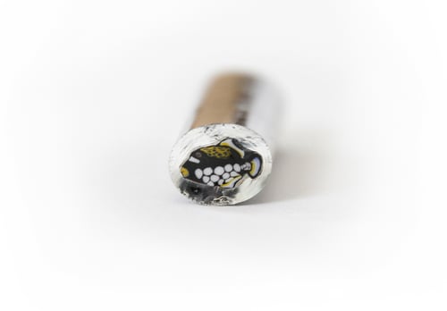 Image of 10 grams Clown Trigger Fish