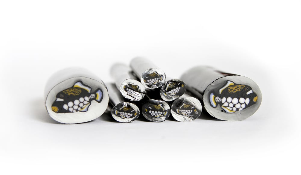 Image of 10 grams Clown Trigger Fish