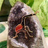 Giraffe Weevil Enamel Pin