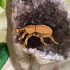 Clay-colored Billbug Enamel Pin