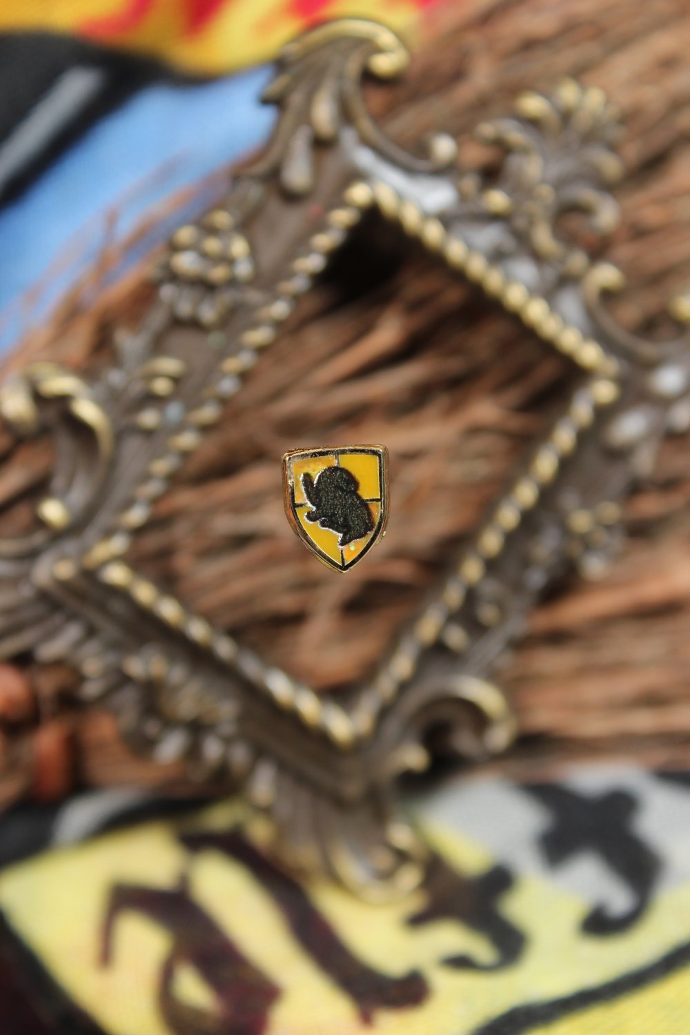 Image of House Micro Crest PINS