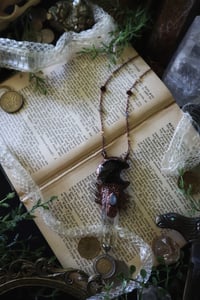 Image 2 of Trailblazer Moon Talisman