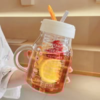 Glass Water Bottle Tea Infuser