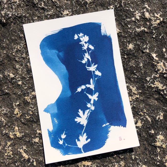 Atelier initiation cyanotype parent-enfant