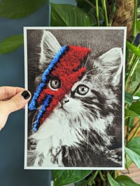 Image 1 of Bowie cat, embroidered photo print