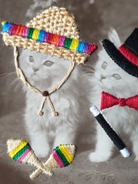 Image 5 of Cats in hats