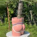Image 2 of Giant Jock Planters
