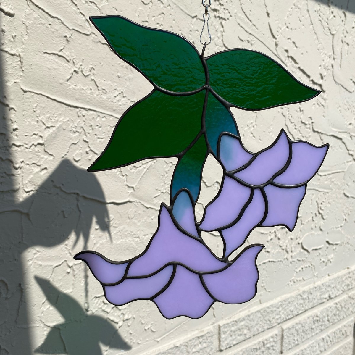 Image of Datura Flowers