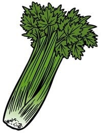 Up Beet
