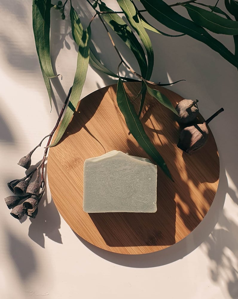 Image of Blue Gum