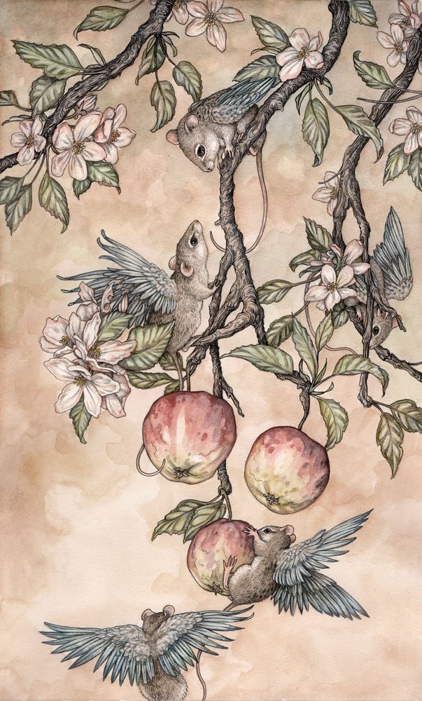 Image of 'The Orchard' by Adam Oehlers 