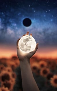 Moon sign and moon phase reading 