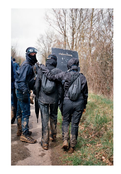 Image of LE CHANT DES OUTARDES