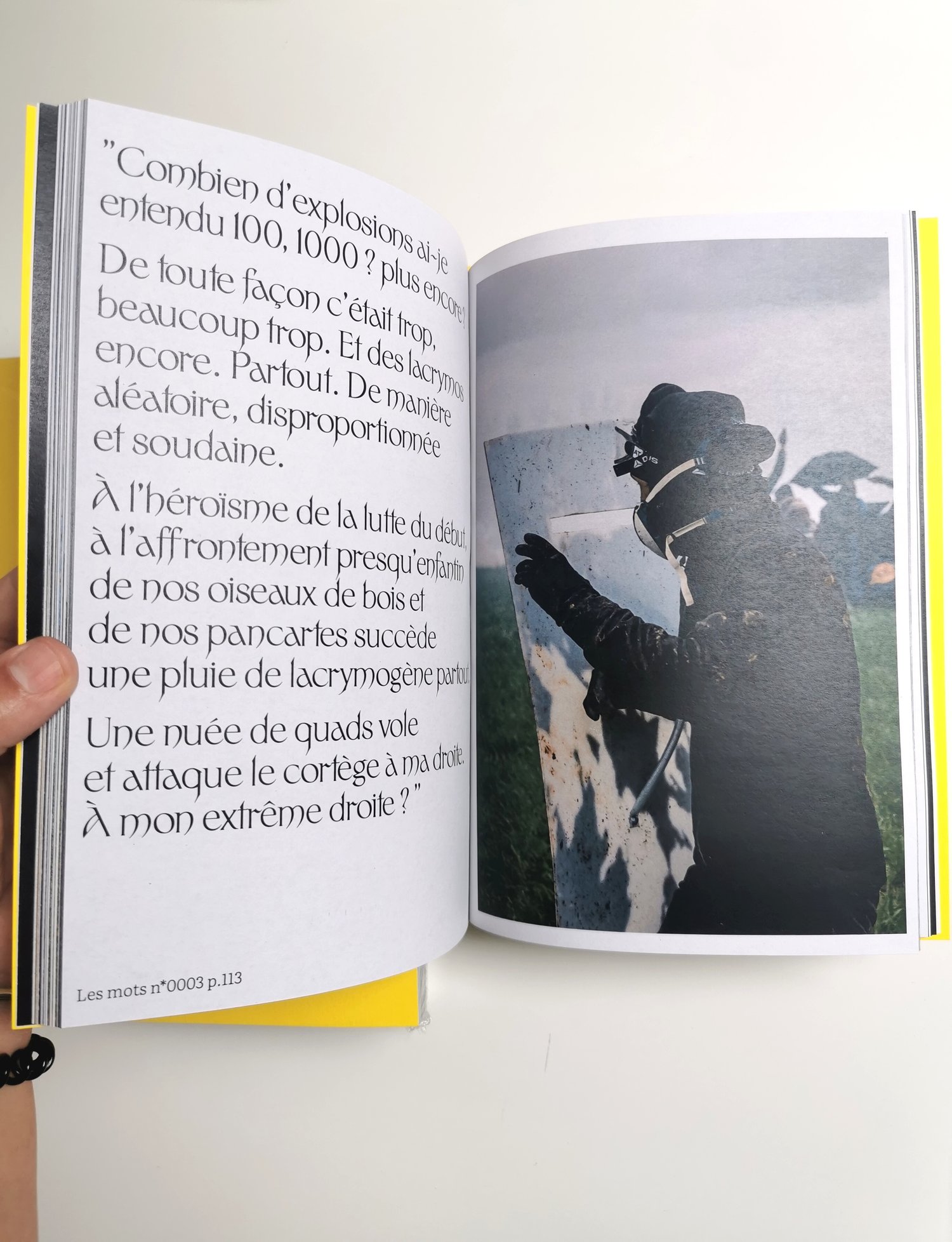 Image of LE CHANT DES OUTARDES