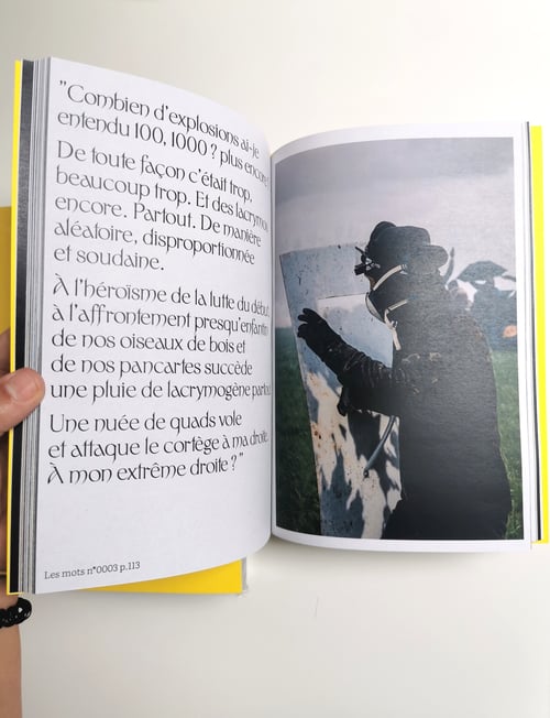 Image of LE CHANT DES OUTARDES