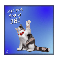 Image 2 of High Paw, You're (add age here) - Greetings Card