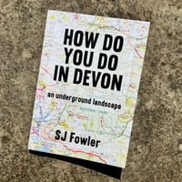 HOW DO YOU DO IN DEVON by SJ Fowler