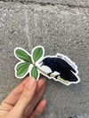 Endangered åga sticker