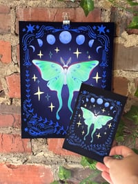 Image 1 of Luna Moth print 8.5x11" or 4x6"