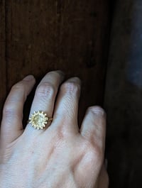 Image 5 of Brass poppy seed pod ring