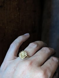 Image 1 of Brass poppy seed pod ring