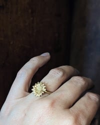 Image 3 of Brass poppy seed pod ring