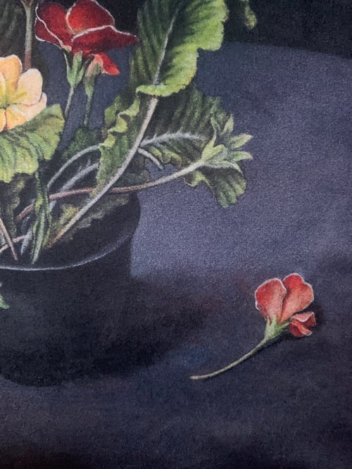 Image of Velvet Polyanthus Cushion