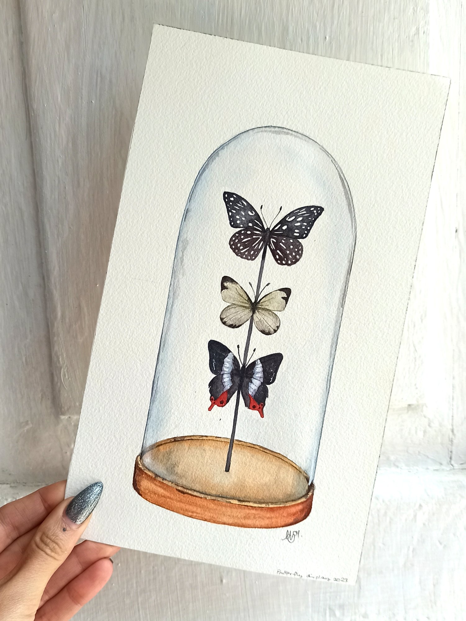 Image of Three butterflies Glass Dome Display ORIGINAL ARTWORK 