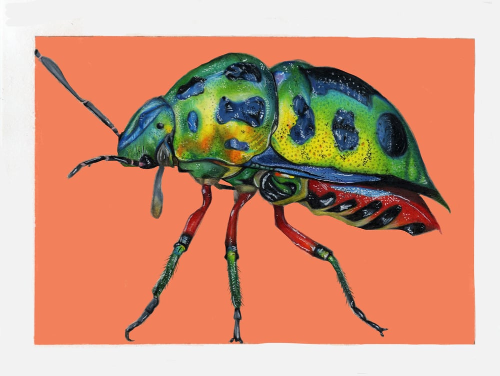 Image of Jewel Bug Print