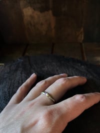 Image 5 of Cast-in-place Ruby Ring