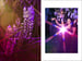 Image of PURPLE NEW DEAL - WISTERIA HYSTERIA CLIMATE FICTION