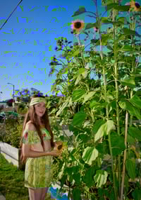 Image 2 of Kaleidoscope Leaves Top & Short Set