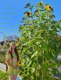 Image 3 of Kaleidoscope Leaves Top & Short Set