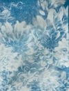 Chrysanthemum Cyanotype Print