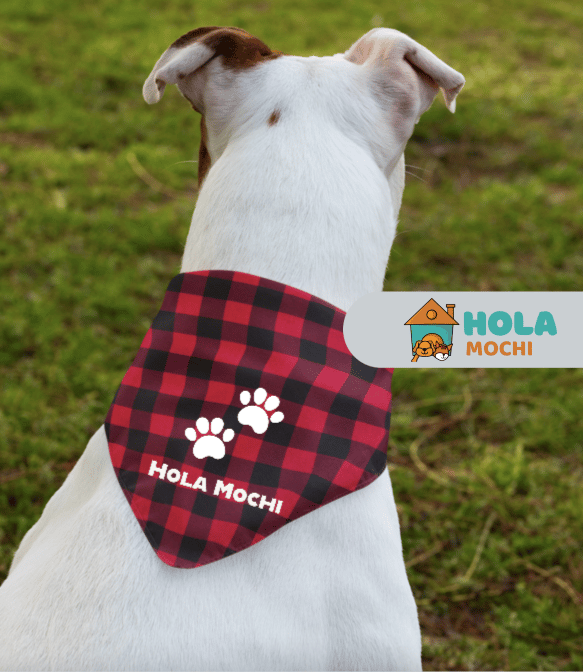 Image of Red Black Checkered Dog Bandana