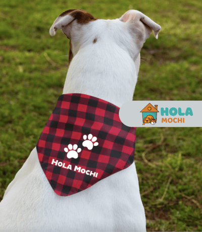 Image of Red Black Checkered Dog Bandana