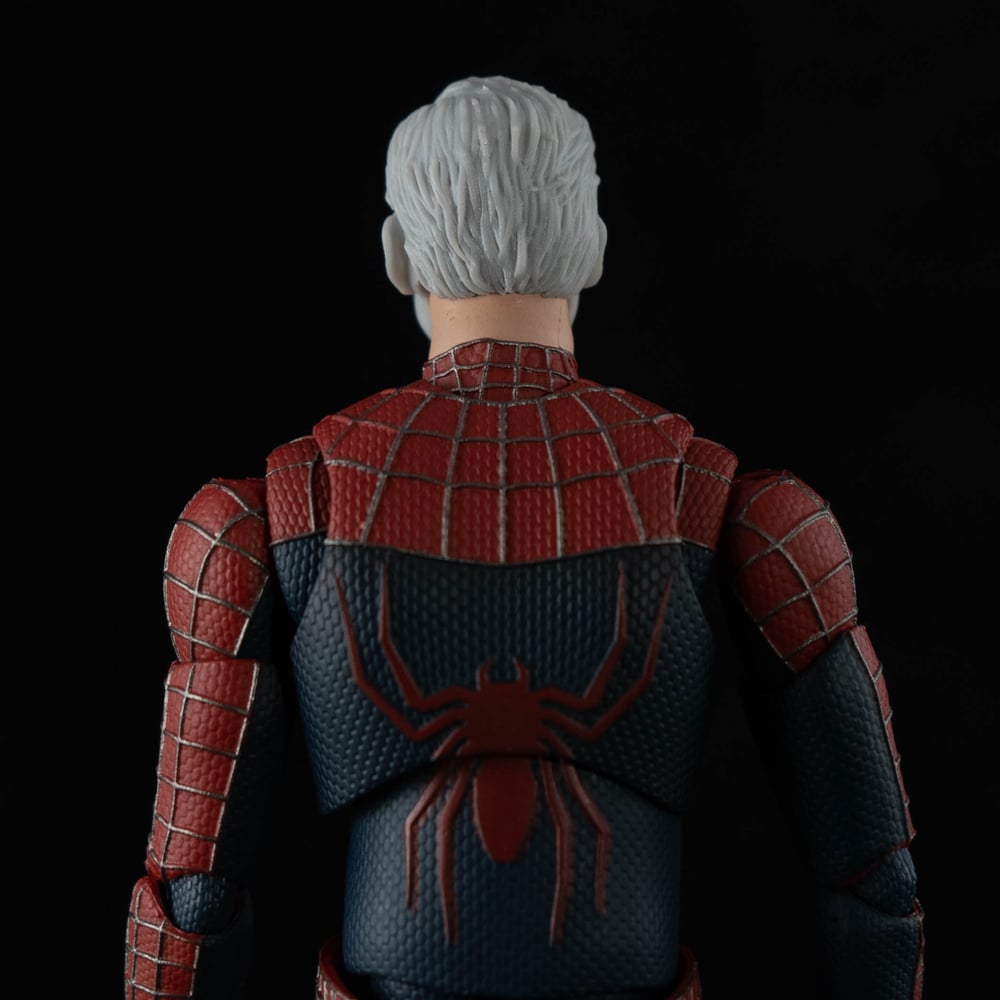 Human Arachnid (UNMASKED) - SHFA SCALE