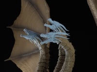 Image 1 of False King