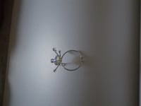 Image 3 of Aquarius Paludum Ring