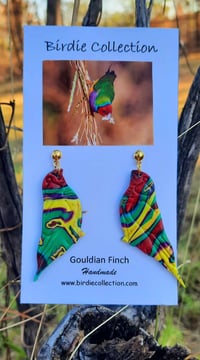 Gouldian Finch 1