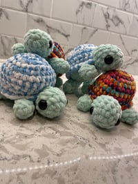 Image 1 of Mini Turtle 